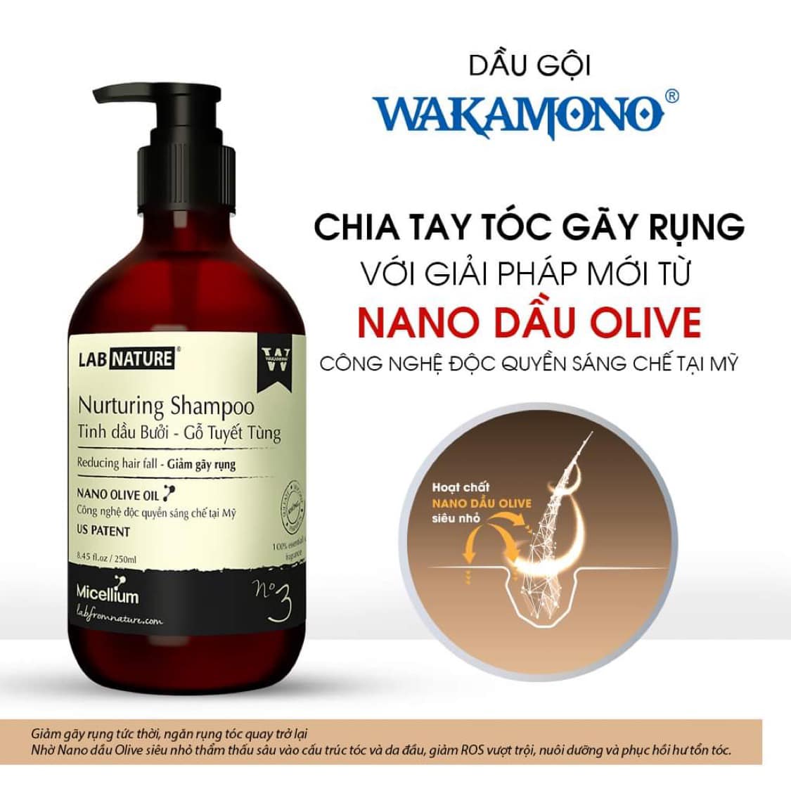 Công nghệ NANO DẦU OLIVE của Wakamono được chứng minh hiệu quả.jpg